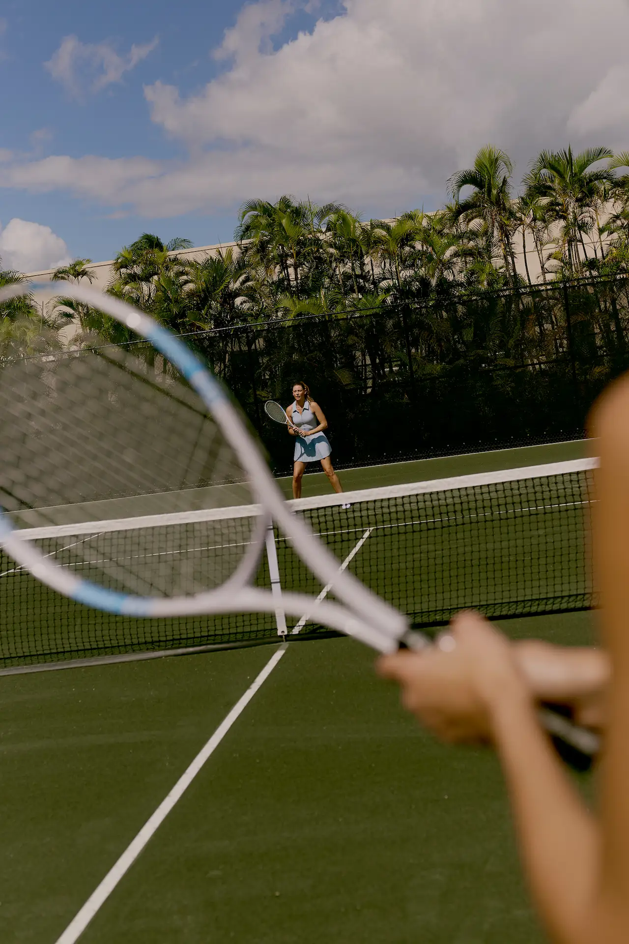 View across tennis net of woman ready to return serve on outdoor court lined with palm trees