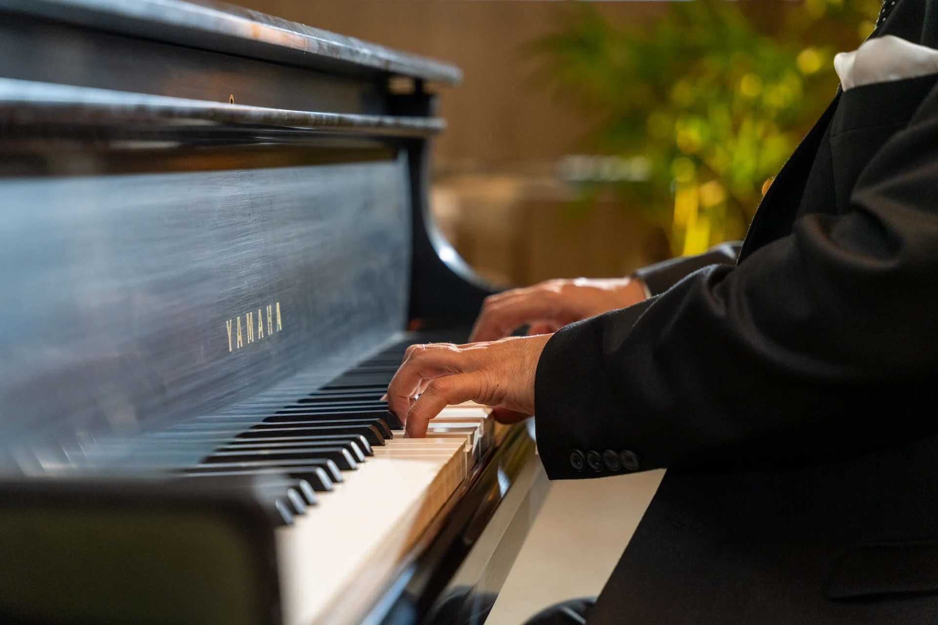 Close-up of pianist’s hands playing yamaha grand piano in formal setting