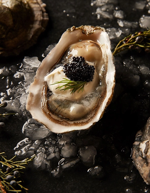 Close-up of oyster with caviar, cream, and dill on crushed ice in a dark, elegant setting