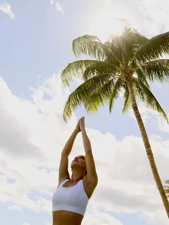 Woman stretching with palms together beneath sunlit palm tree and blue sky