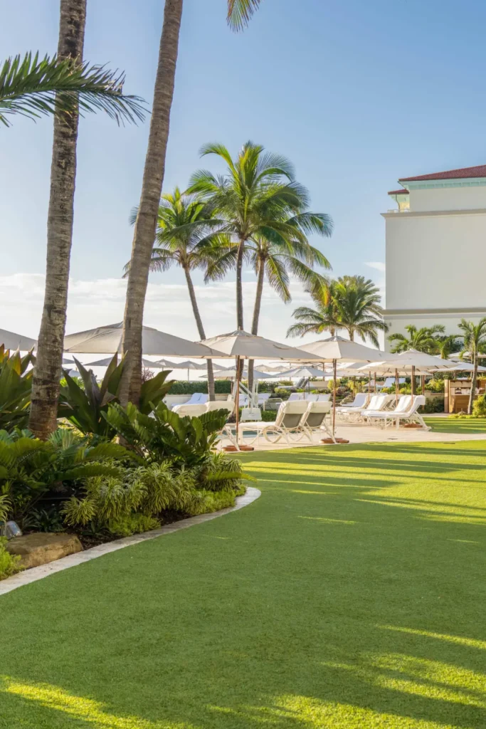 Sunny beachfront resort lawn with palm trees, lounge chairs, and white umbrellas